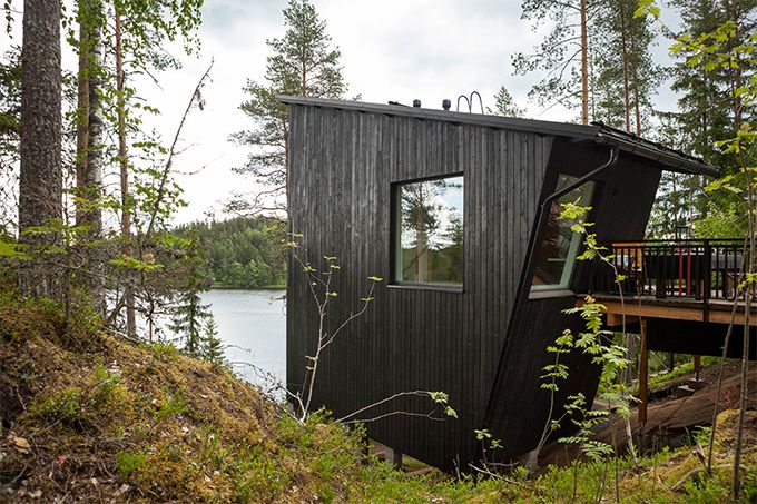 Yksiö metässä#003