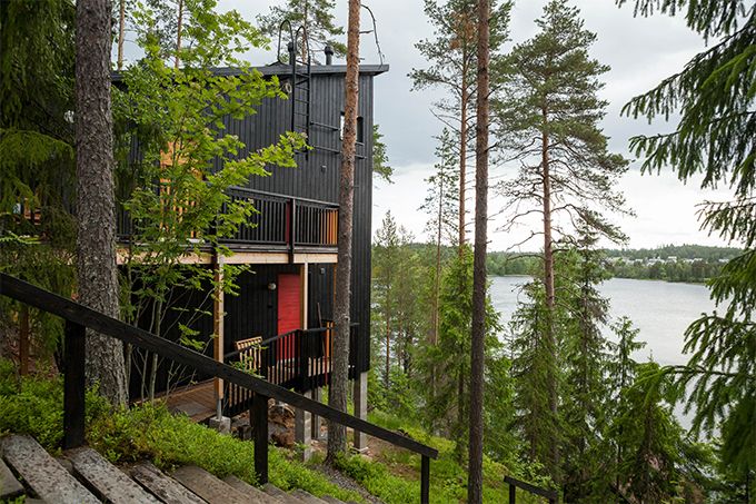 Yksiö metässä#004